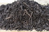 Triple Shredded Brown Dyed Mulch Close Up