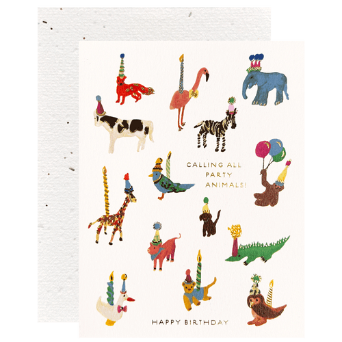 Animal Party Birthday