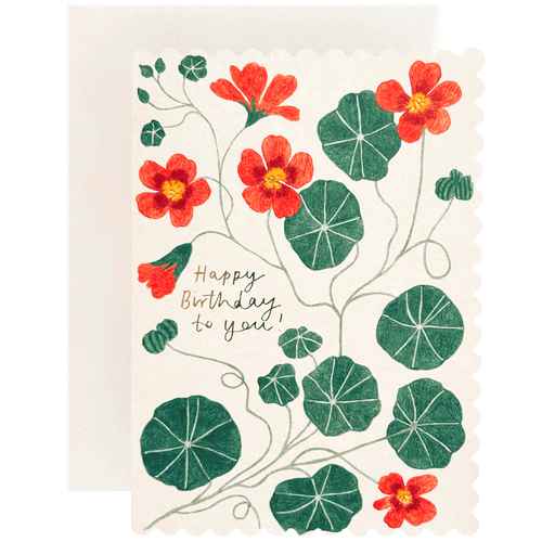 Nasturtium Birthday