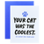 Coolest Cat