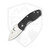 Spyderco Ambitious, Black G-10 / Satin 8Cr13MoV - C148GP