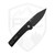 ProTech Scapegoat Compact Auto, Carbide Texture Black Aluminum, DLC MagnaMax - RCS1106