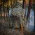 The Hidden Woodsman - Forest Rucksack