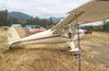 SOLD - 1946 Luscombe 8A Silveraire (Oct 2017)