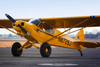 SOLD - 2007 Cub Crafters CC18-180 Top Cub (Jan 2021)