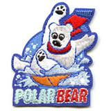 Polar Plunge