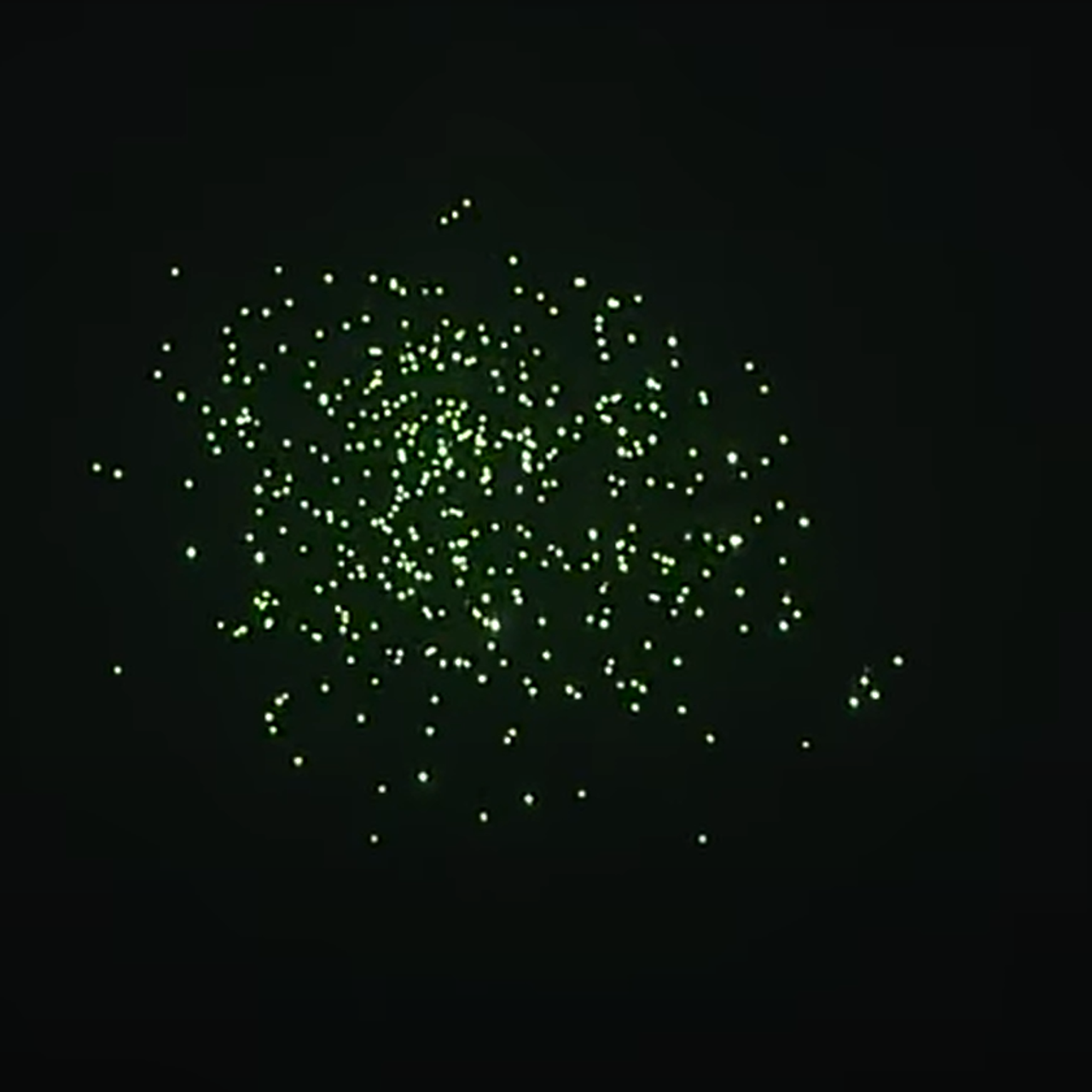 5" GREEN FALLING LEAVES (DUN PAI) 5" GREEN FALLING LEAVES (DUN PAI)