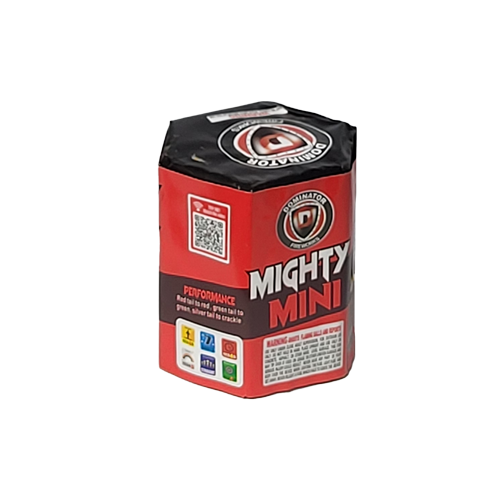 MIGHTY MINI 1/1