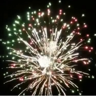2.5" FINALE CHAIN - 2 PURPLE TO GREEN PEONY, 2 GOLDEN FLASHING TO RED, 2 SILVER WAVE TO BLUE, 2 GLITTERING COCONUT TREE , 4 SALUTE W/TAILS 10/12