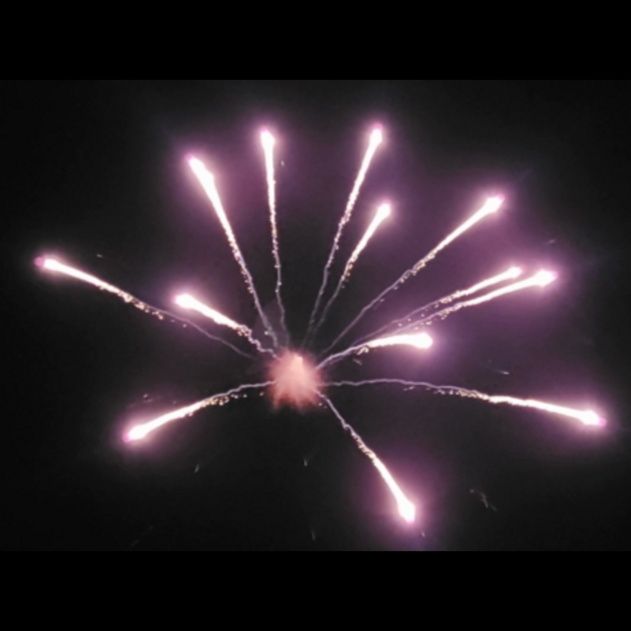 5" SILVER COCONUT WITH SALUTE RING (DUN PAI)