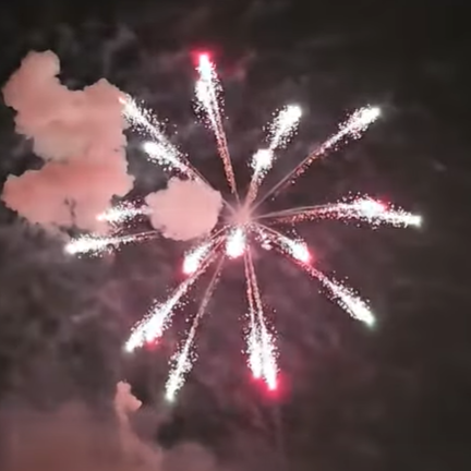 3" COLOR TIME RAIN WILLOW W/ TAIL