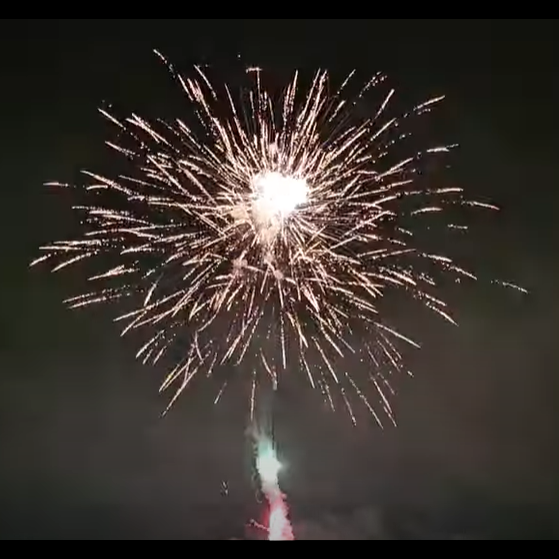 100 SHOT COLOR TAIL BROCADE CROWN