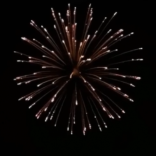 7" RED STROBE WILLOW