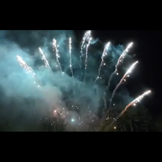 SLICE - 11 SHOT SILVER STROBE WILLOW COMET W/ GOLD STROBE MINE (C SHAPE)