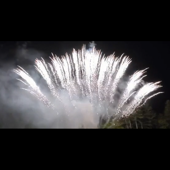 SLICE - 13 SHOT BROCADE CROWN MINE (FAN)