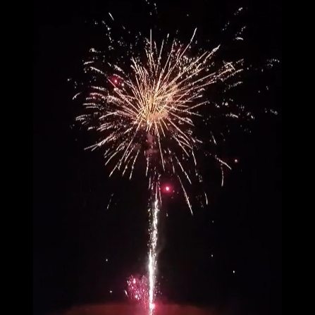 COMPOUND CAKE - 100 SHOT RED NISHIKI 37 SEC