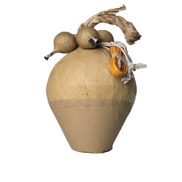 8" TRIPLE BURST JELLY FISH SHELLS IN SHELL W/ 3 JELLY FISH RISING FLOWERS