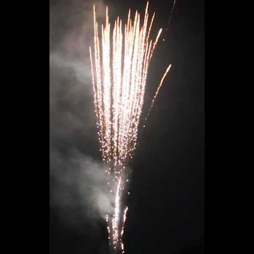 MINE - 50MM BROCADE MINE