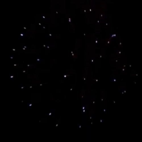 3" BLUE CHRYSANTHEMUM W/ BLUE TAIL 72/1