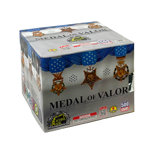 MEDAL OF VALOR 1/1