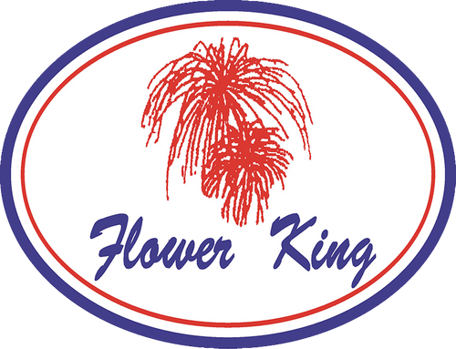 49 SHOT COLOR TIME RAIN WILLOW W/ CRACKLING