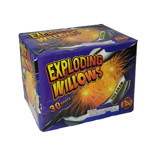 EXPLODING WILLOWS 1/1