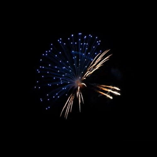 3" BLUE CRACKLING MUSHROOM (NIGHT OWL PREMIUM)