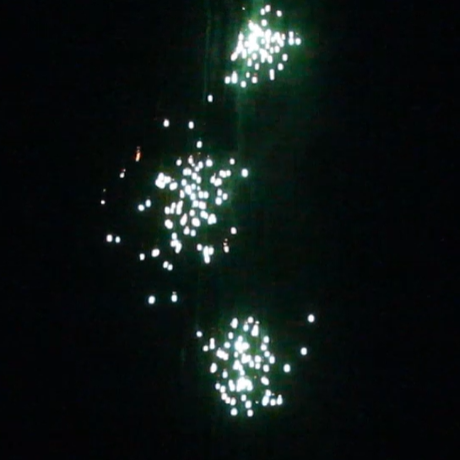 CAKE - 12 SHOT MULTI COLOR FALLING LEAVES