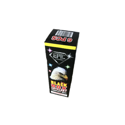BLACK BOX ARTILLERY (COMPACT BOX) 1/6