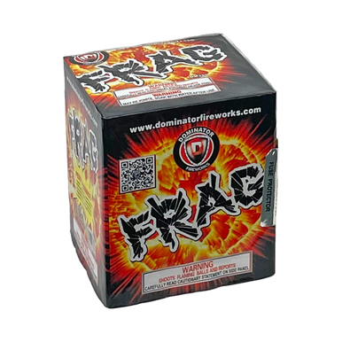 FRAG 1/1