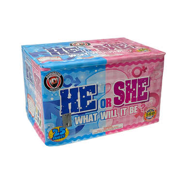 HE OR SHE, WHAT WILL IT BE? (BLUE STAR EFFECT) 1/1