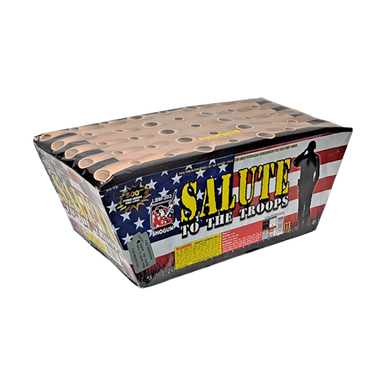 SALUTE TO THE TROOPS 1/1