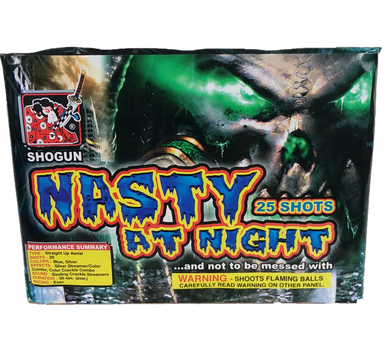 Nasty At Night