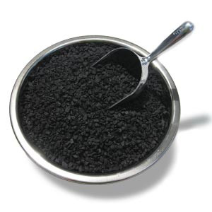 BLACK POWDER 2FA & 4FA 1/1