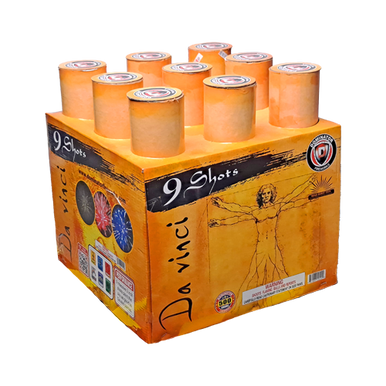 DA VINCI 1/1