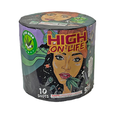 HIGH ON LIFE 1/1