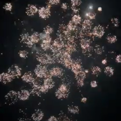 100 SHOT ANGRY STARS