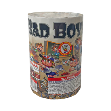 BAD BOYS 1/1