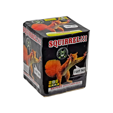 SQUIRREL!!!!! 1/1
