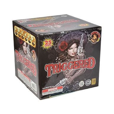 TRIGGERED 1/1