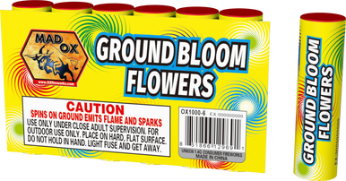 GROUND BLOOM FLOWERS 6 PACK 6/1