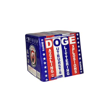 DOGE 1/1