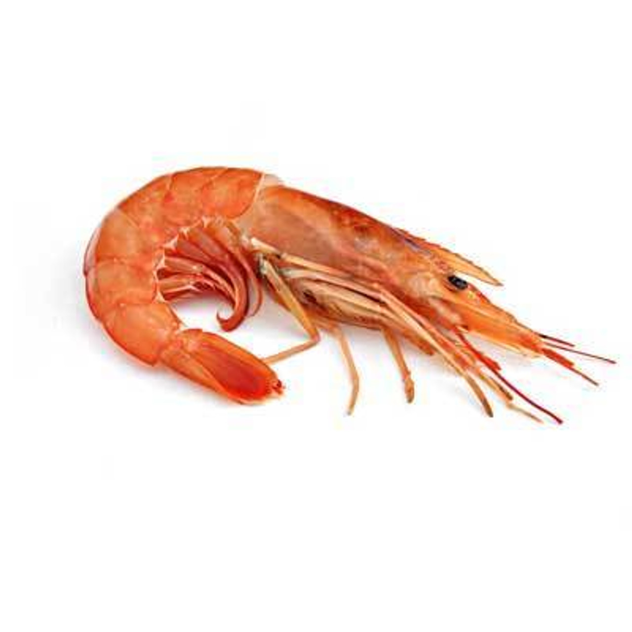 Argentina Red Shrimp Head On U15 Wild Frozen Chef S Choice Specialty Foods