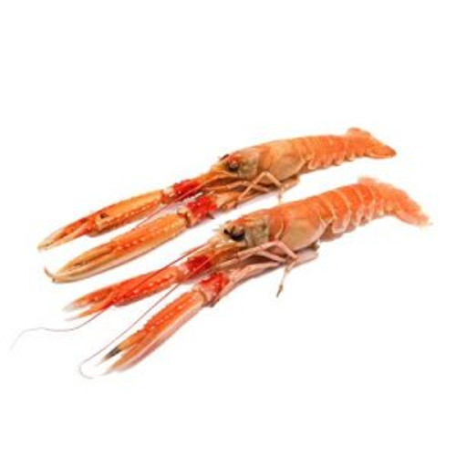 Langoustines U5 Wild - Frozen