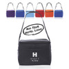 6 Pack Cooler Lunch Bag (CM)