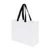 Paper Sustainable Bag with Web-Style Paper Handles (9x3x7)