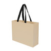 Paper Sustainable Bag with Web-Style Paper Handles (9x3x7)