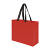 Paper Sustainable Bag with Web-Style Paper Handles (9x3x7)