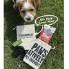Pawsatively Welcome Kit (Small)