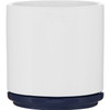 The Blume 22 oz ceramic planter